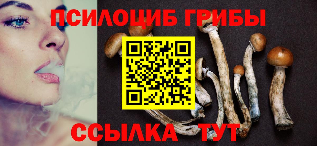 Псилоцибиновые грибы GOLDEN TEACHER Гусиноозёрск