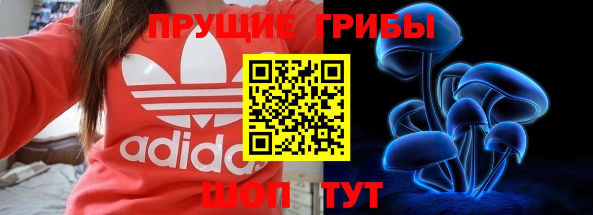 Псилоцибиновые грибы прущие грибы  Псилоцибиновые грибы Magic Shrooms  где купить наркоту  Вход с VPN  Гусиноозёрск 