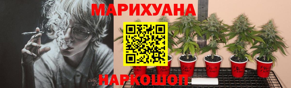 Канабис White Widow  Вход с VPN  Бошки Шишки White Widow  Гусиноозёрск 